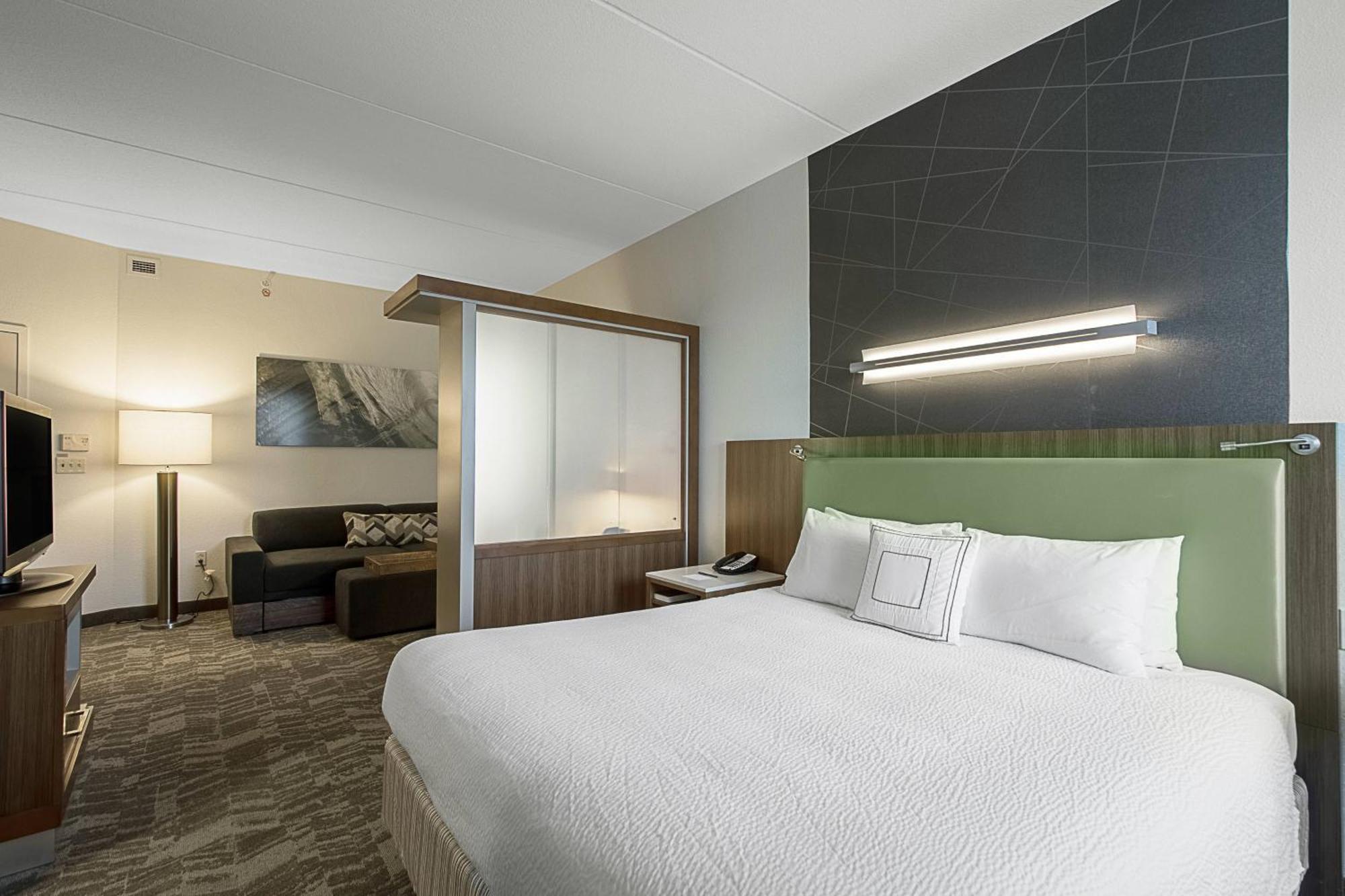 Springhill Suites Tampa North/Tampa Palms Kültér fotó